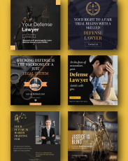 Defense Lawyer